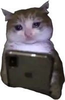 a cat is crying while holding a cell phone