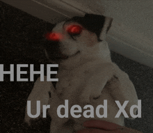 a picture of a dog with red eyes and the words " ur dead xd " below it