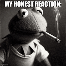 kermit the frog smoking a cigarette with the words my honest reaction below him