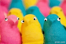 a group of colorful peeps with googly eyes are lined up in a row