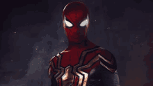 a close up of a spiderman in a red and gold spiderman suit .