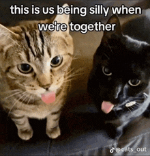 two cats sticking their tongues out with a caption that says this is us being silly when we are together