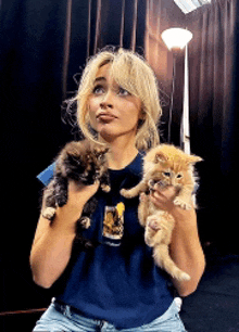 a woman in a blue shirt is holding three kittens in her arms