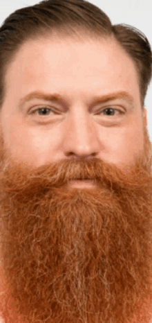 a close up of a man 's face with a red beard