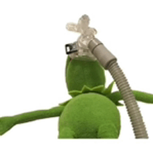a stuffed frog with a vacuum hose attached to its back