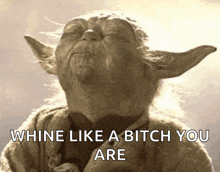 a picture of yoda with the words whine like a bitch you are on it