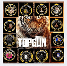 a collage of topgun family logos with a tiger behind them