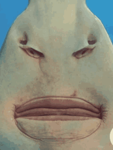 a close up of a shark 's face that looks like a person 's face