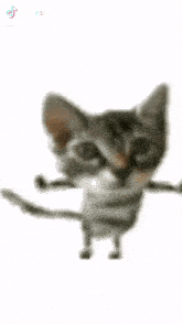 a cartoon cat is standing on its hind legs and looking at the camera .