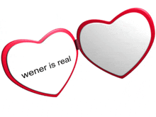 a heart shaped mirror with the words wener is real written on it