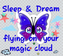 a purple butterfly with the words sleep & dream flying on your magic cloud