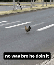 a chicken crossing a street with the words no way bro he doin it