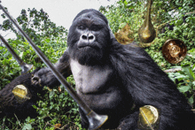 a gorilla is playing a trumpet in the jungle