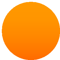 an orange circle on a white background with a black border