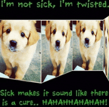 a picture of a puppy with the words " i 'm not sick i 'm twisted " on the bottom