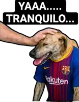 a dog that is wearing a rakuten shirt