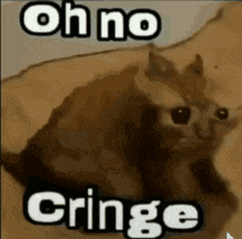 a cat is sitting on a couch and says `` oh no cringe '' .