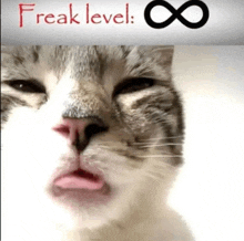 a cat is sticking its tongue out under a sign that says " freak level "