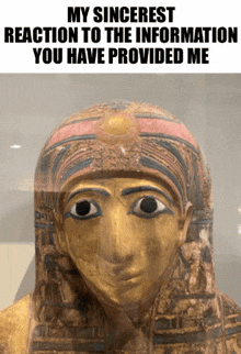 a picture of a mummy with a caption saying my sincerest reaction to the information you have provided me