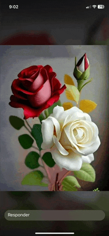 a phone screen shows a painting of red and white roses and a response button