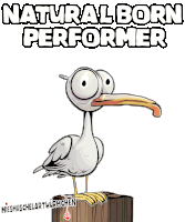 a cartoon bird is standing on a wooden post with the words natural born performer below it