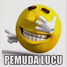 a cartoon smiley face with a hand covering its face and the words pemuda lucu below it .
