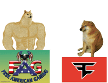 a picture of a dog next to a picture of a flag and a logo for free american gaming