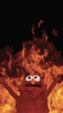 elmo from sesame street is standing in a pile of flames .