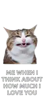 a cat with its mouth open and the words " me when i think about how much i love you " below it
