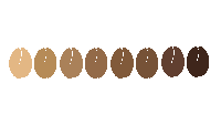 a row of coffee beans of different shades