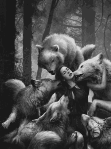 a woman is surrounded by a pack of wolves in a black and white photo