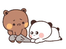 a brown bear is sitting next to a white panda bear laying on the ground