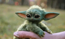 a person is holding a baby yoda on their finger .