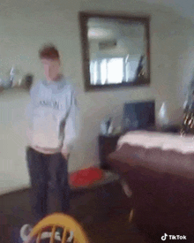 a blurry picture of a person standing in a living room with a mirror .