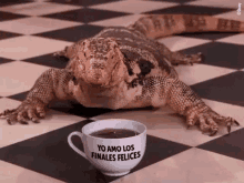 a lizard sits next to a cup of coffee that says yo amo los finales felices