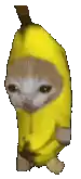 a cat is wearing a yellow banana costume and holding a banana .