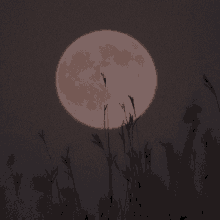 a full moon is visible through the tall grass in the foreground