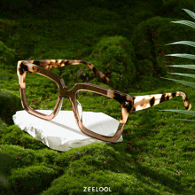 a pair of glasses sitting on top of a rock with zeekool written on the bottom right