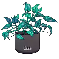 a drawing of a plant in a black pot that says feely