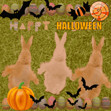 a halloween greeting card with bunny rabbits and eggs