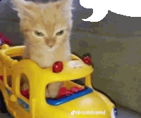 a kitten is sitting on top of a toy bus