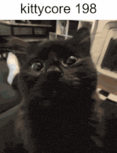 a picture of a black cat with the words " kittycore 198 " above it