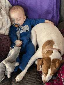 a baby with a pacifier is sleeping next to a brown and white dog