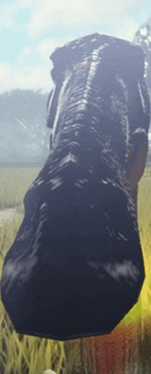 a close up of a person standing in a field with mountains in the background