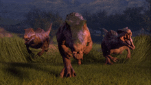 a group of dinosaurs are running in a grassy field