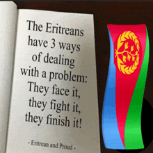 the eritreans have 3 ways of dealing with a problem : they face it they fight it they finish it