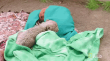 two animals are sleeping on a blanket on the ground .