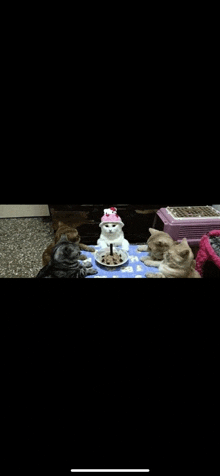 a group of cats are sitting around a table with a cake and a cat wearing a birthday hat .