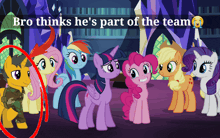 a group of ponies are standing next to each other with the caption " bro thinks he 's part of the team "