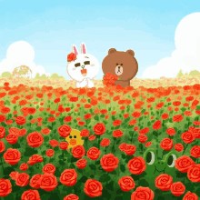 a brown bear and a white rabbit are in a field of roses